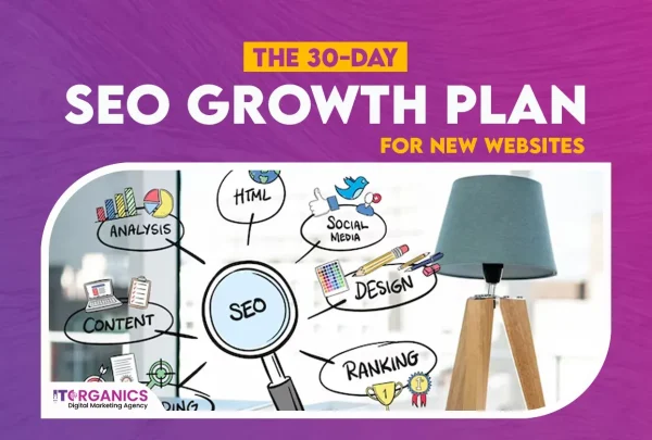 The 30-Day SEO Growth Plan for New Websites 1